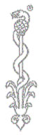 logo-Aesculap2